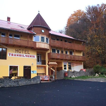 Vila Transilvania バルバニオス エクステリア 写真