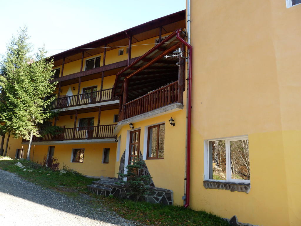 Vila Transilvania バルバニオス エクステリア 写真