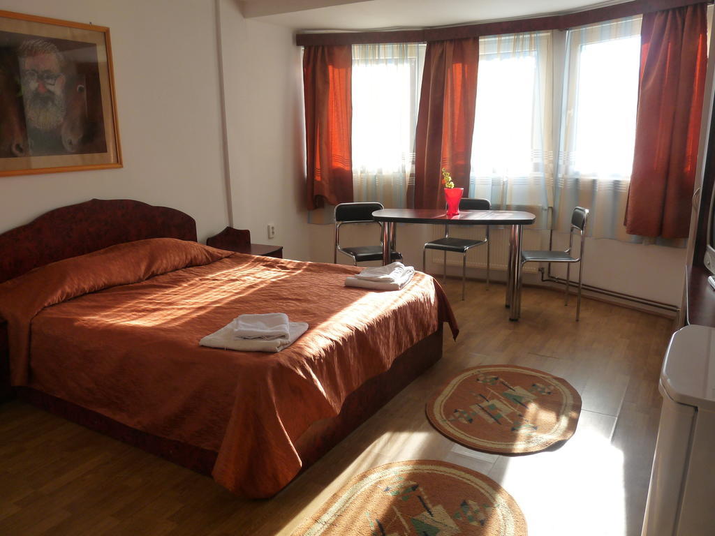 Vila Transilvania バルバニオス 部屋 写真