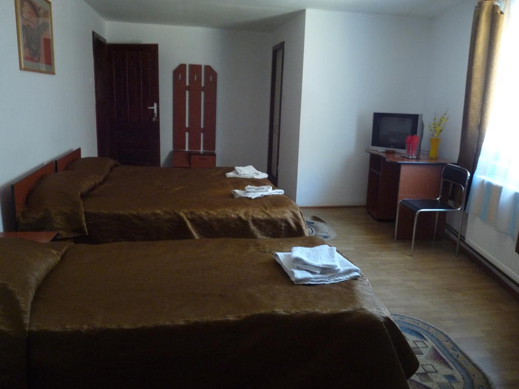 Vila Transilvania バルバニオス 部屋 写真