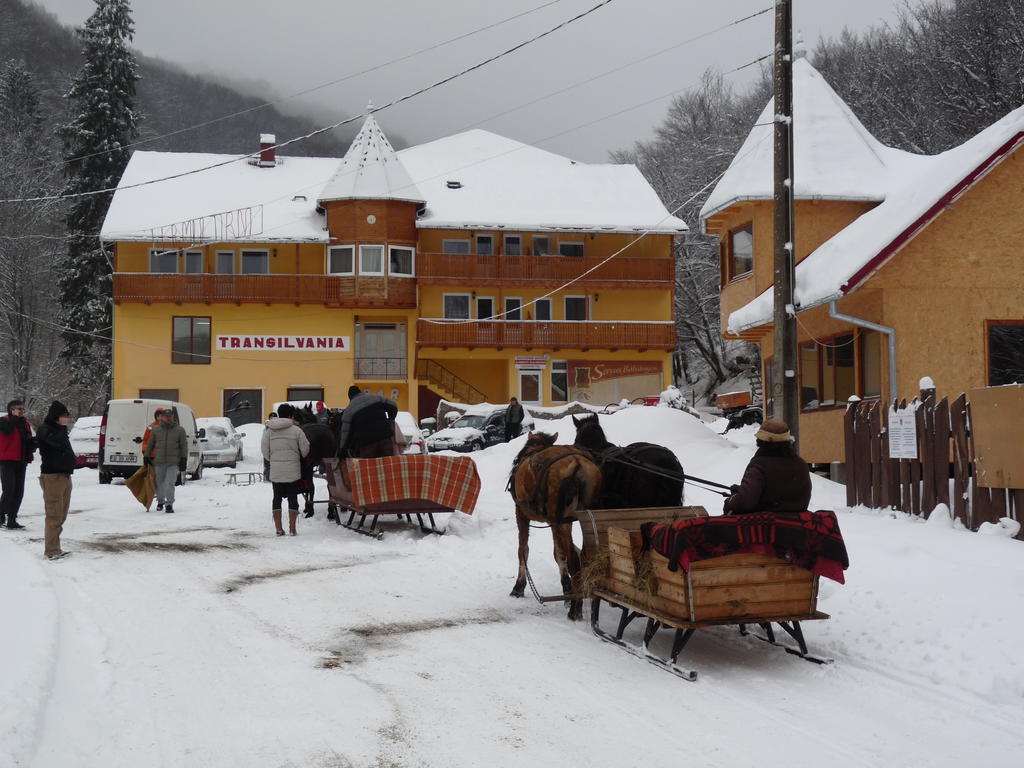 Vila Transilvania バルバニオス エクステリア 写真