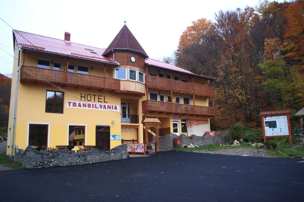 Vila Transilvania バルバニオス エクステリア 写真