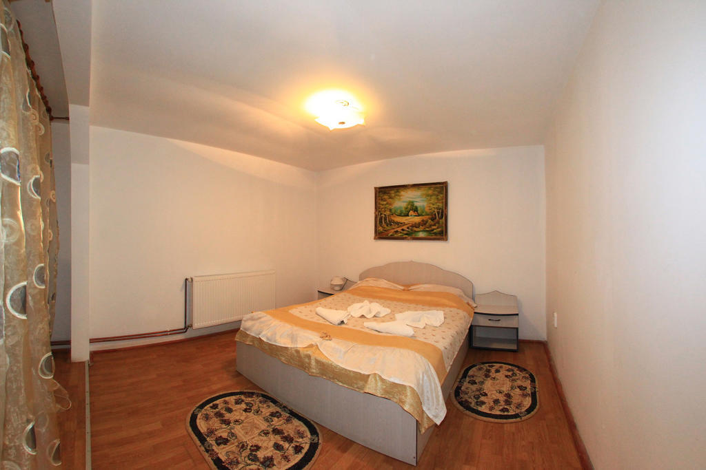Vila Transilvania バルバニオス 部屋 写真